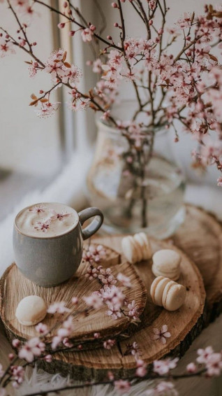 Cozy Spring Aesthetic Wallpaper iPhone Coffee