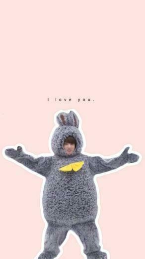 Bunny Jungkook Simple iPhone Wallpaper Army S Amino