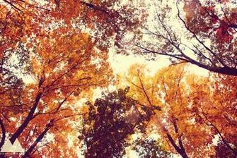 Evan Mcgrew Fall In Harrisonburg Va