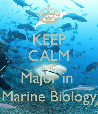 Marine Biology Wallpaper Major In