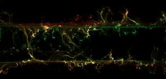 Smoke Marijuana Wallpaper Flags Jamaica