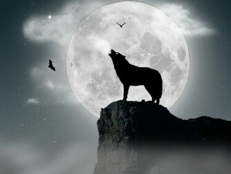 Moon Wolf Wallpaper