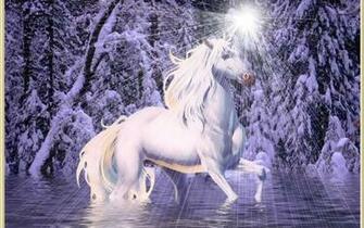 Fairy On A Unicorn Wallpaper Experts