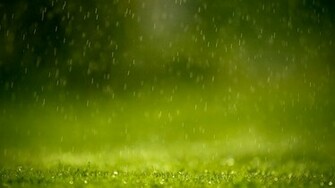 Raindrops Wallpaper