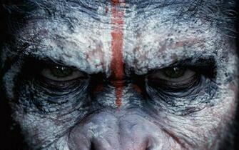 Rise Of The Planet Apes Wallpaper And Background Image