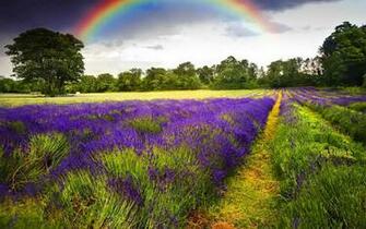 HD Wallpaper Storm Clouds On The Field Rainbows Nature
