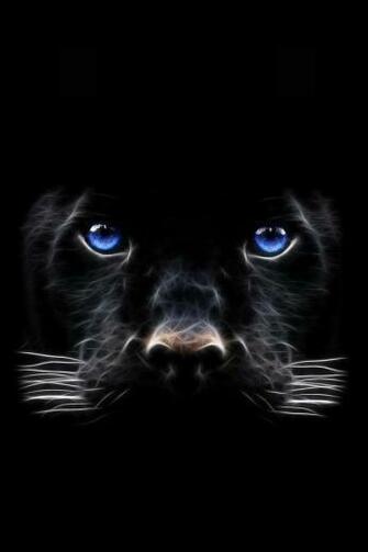 Black Panther Animals Background For Your iPhone