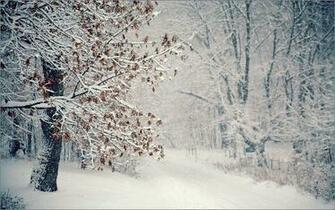 Travelling Through Falling Snow Wallpaper