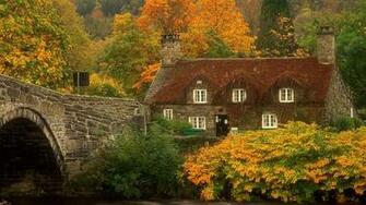 High Resolution Nature Coolest Scene