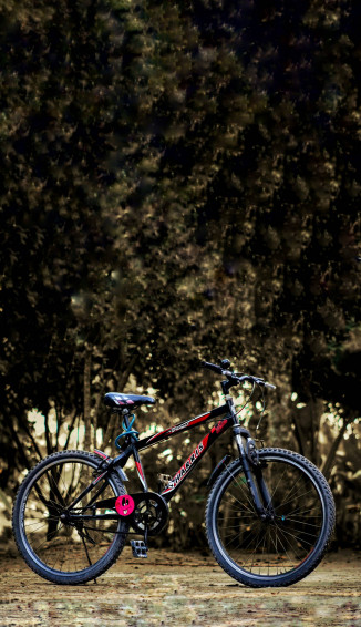 Mountain Bike Wallpaper