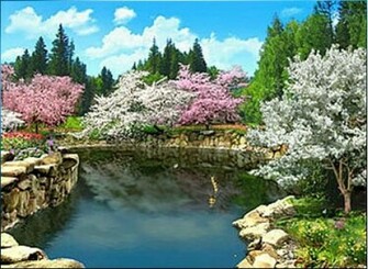 3d Spring Flowers Wallpaper Enjoy
