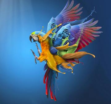 Flying Colours High Quality Wall Murals With Us Delivery