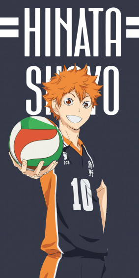 Shoyo Hinata Wallpaper 4k 8k Minimalist Haikyuu