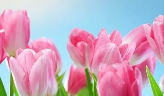 Source Url Wallpaper Wide Ru En Pre Php HD Px