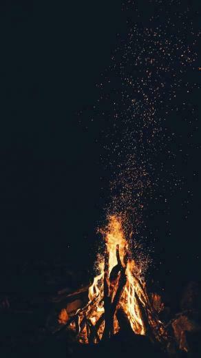 Never Touch Anything With Half Of Your Heart Wisdom