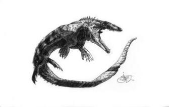 Prognathodon Stadtmani By Greeni Studio