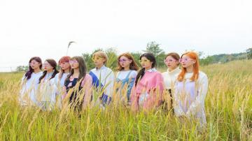 Twice Jyp Ent Wallpaper