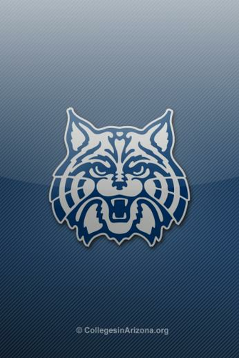 Arizona Wildcats iPhone Wallpaper University Of