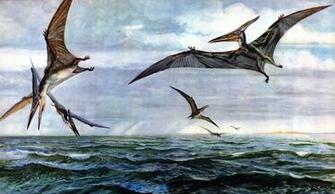 Best Pterodactyl Wallpaper