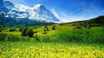 Wallpaper Switzerland 5k 4k Mountains Meadows