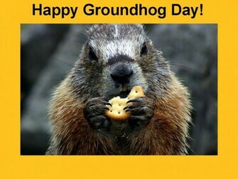 Groundhog Day February