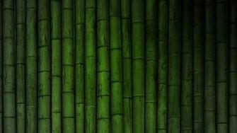 HD Bamboo Background Net