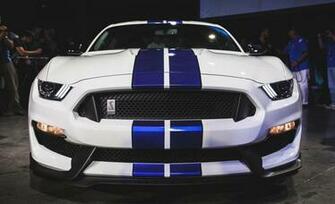 Ford Mustang Shelby Gt350 Photo