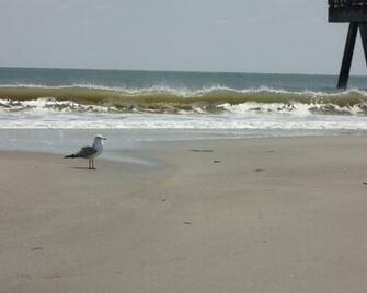 Tybee Island Image Crazy Gallery For