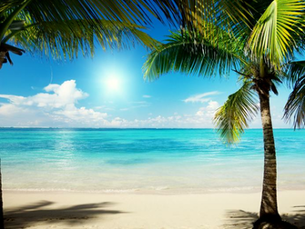 Caribbean Summer Wallpaper We Know Them By Their Sleazy Attacks