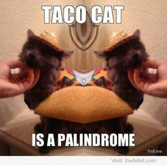 Taco Cat Is A Palindrome