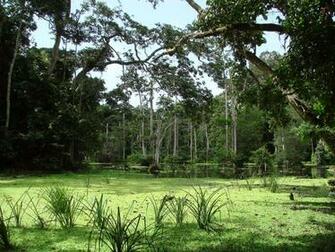 Gabon Central Africa S Oasis Geographic Magazine