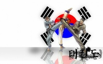 Gallery For Taekwondo Fan Wallpaper