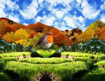 Wallpapereast Wallpaper Nature