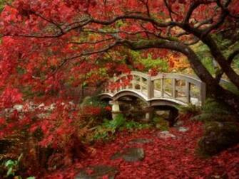 Dollhouse Miniature Wallpaper Japanese Garden Mural