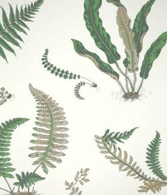 Ferns Wallpaper
