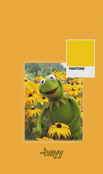 Aesthetic Kermit 4dfodjto7nh3m9a7 Wallpaper
