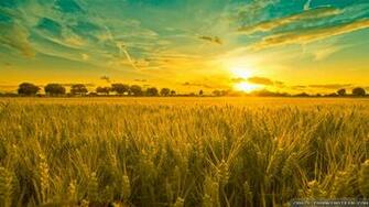 Summer Landscape Wallpaper Crazy Frankenstein