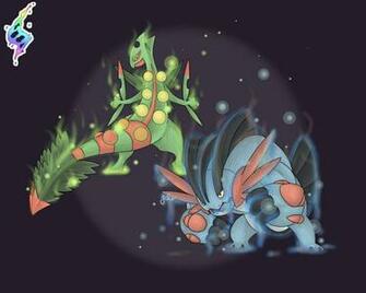 Mega Sceptile And Swampert By Jaidenanimations