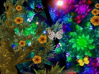 Beautiful 3d Flower Wallpaper Flowers First