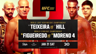 Ufc Glover Teixeira Vs Jamahal Hill Bt Sport