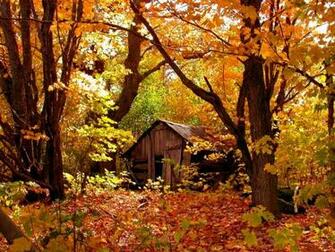 Chalet Isol En For T D Automne Wallpaper