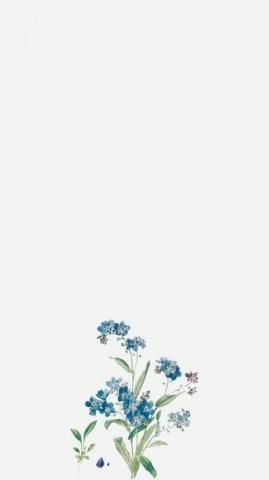 LuHDez On Barang Untuk Dibeli Flower Background Wallpaper