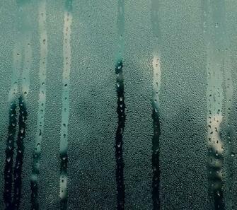 Wallpaper