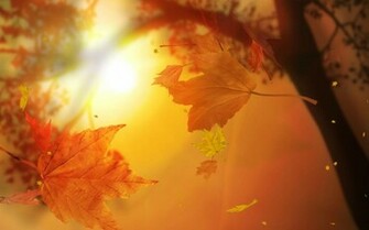 Leaf Fall Animated Wallpaper Desktopanimated