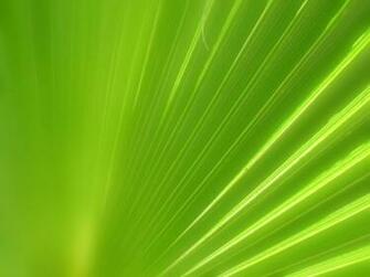 Herbalife Background Image In Collection