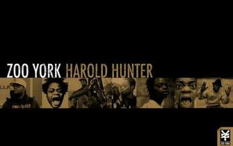 Make This Zoo York Harold Wallpaper Picswallpaper