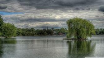 Beautiful Weeping Willow Tree Wallpaper