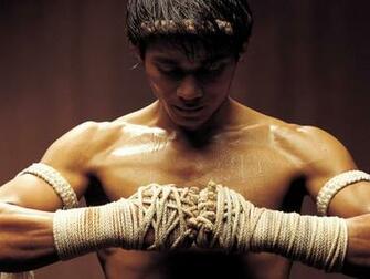 Martial Arts Computer Wallpaper Desktop Background Id