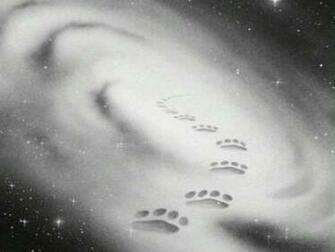 Warrior Cats Wallpaper Star Ing Gallery