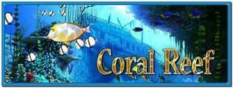 Coral Reef 3d Screensaver And Animated Wallpaper